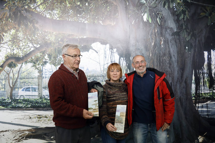 Cinco rutas para descubrir la ciudad de Valencia a través de sus árboles más emblemáticos