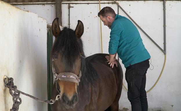 El hombre que ajusta a los caballos