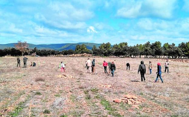El arboreto euromediterráneo de Sinarcas