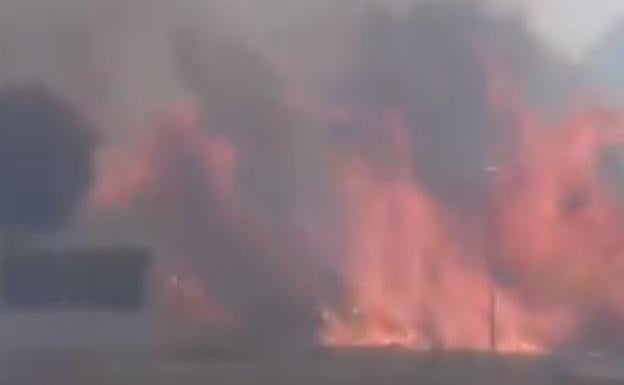 Controlado un incendio junto a una urbanización de Gandia