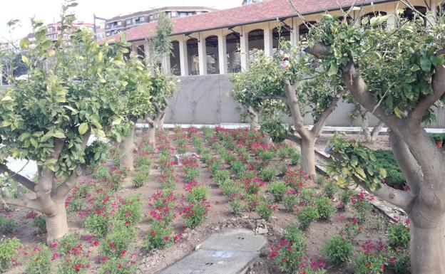 La primavera llega al Parque Central