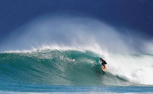 Suspendida por ataques de tiburones una prueba de la Liga Mundial de surf en Australia