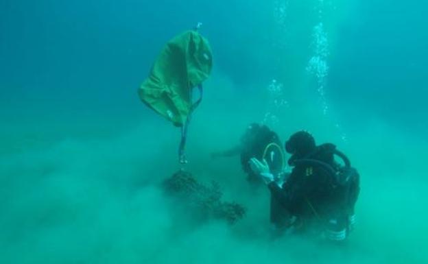 Buceadores de la Armada neutralizan un proyectil de artillería en Burriana a una milla de la costa