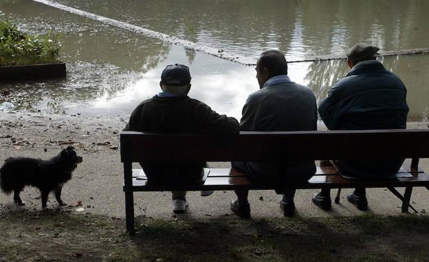 Así quedarán las diferentes pensiones con la nueva subida del Gobierno