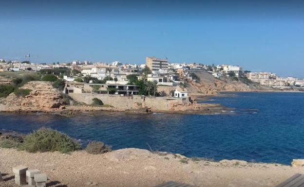 Hallan un delfín varado en la playa de Torrevieja