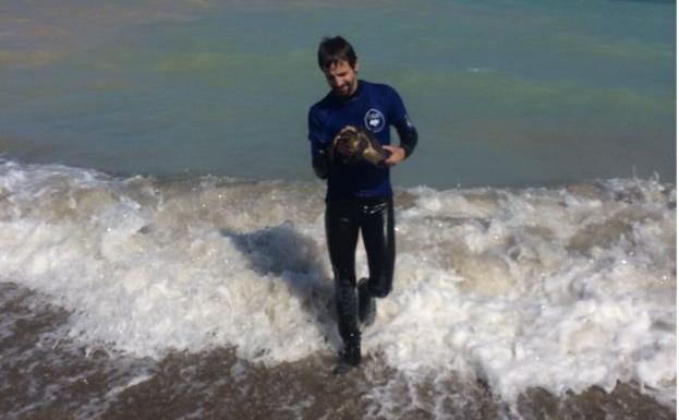 Rescate de una tortuga joven en Almenara