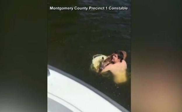 Se lanza a un lago para salvar a un ciervo de morir ahogado