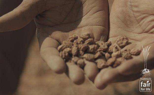 Tigernuts Traders, primera agroalimentaria de la Comunitat con sello 'Fair For Life'