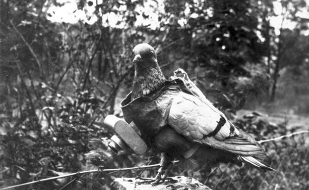 París se resiste a honrar a los animales de la Gran Guerra