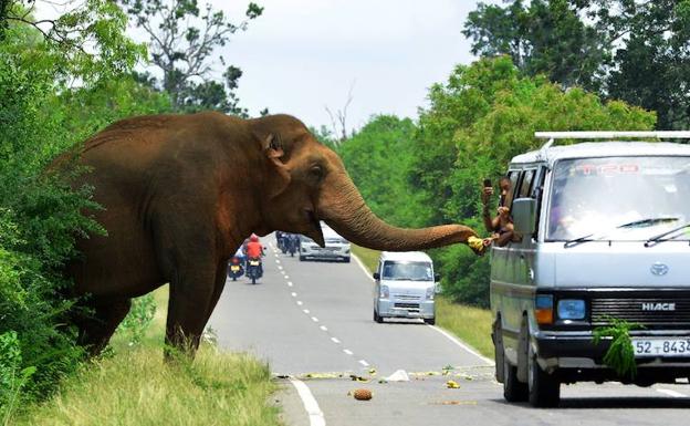 16 imágenes sorprendentes del mundo animal