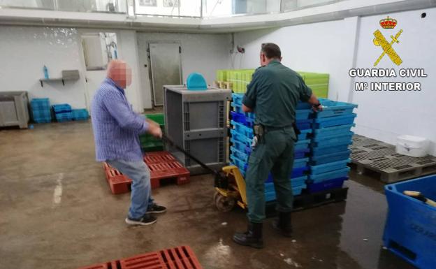 Retiran una tonelada de pescado ilegal en Calp y Cox