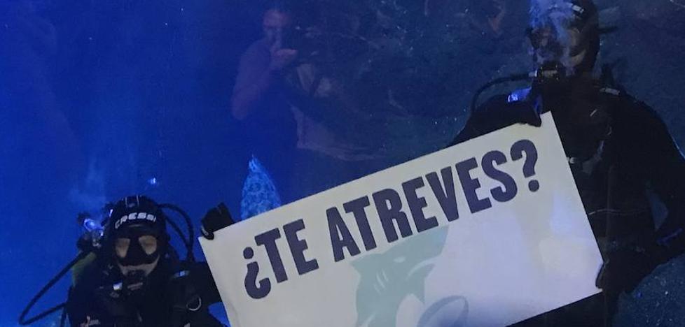 El rugby baja a la arena