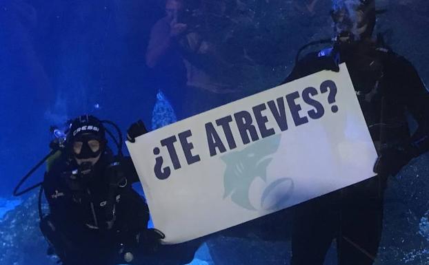 El rugby baja a la arena