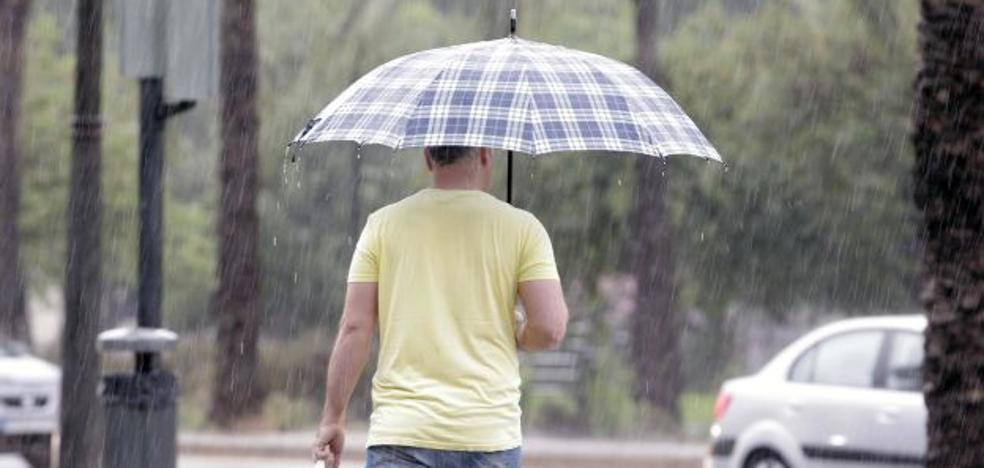 Las lluvias favorecen la propagación del mosquito tigre y de las cucarachas