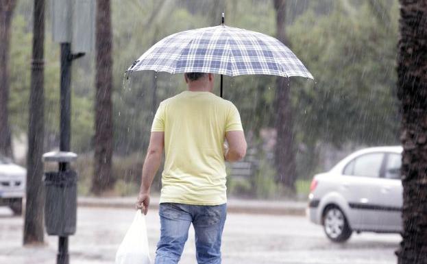 Las lluvias favorecen la propagación del mosquito tigre y de las cucarachas