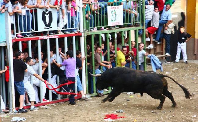 Herido un menor tras ser corneado por un toro en Onda