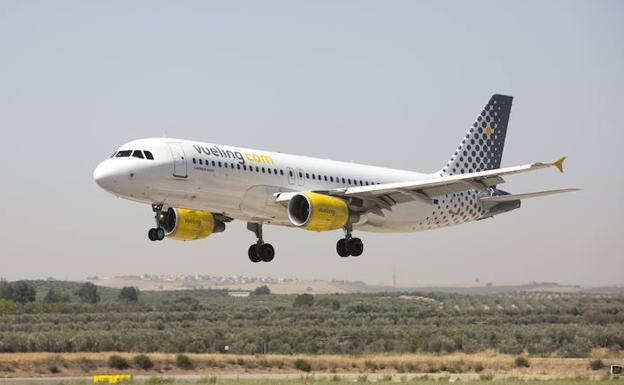 Un pájaro rompe un avión con destino a Barcelona