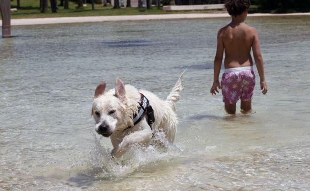 Valencia vivirá este domingo a más de 30º