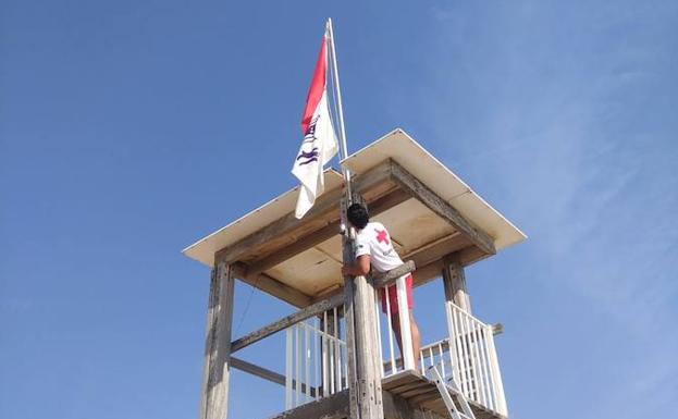 Reabren al baño las playas de El Saler tras no detectarse nuevas carabelas portuguesas