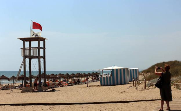 Vuelven a prohibir el baño en las playas de El Saler por la carabela portuguesa