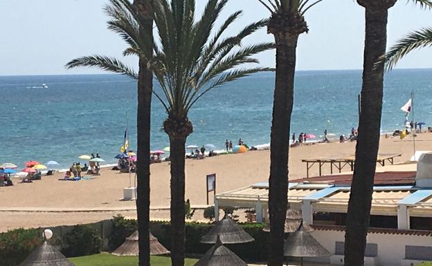 Las playas de Dénia, reabiertas pero con bandera amarilla tras hallar el sábado cuatro carabelas portuguesas