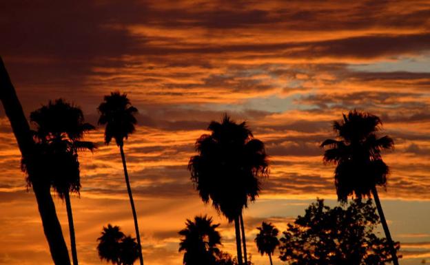 Valencia vive la noche más cálida de toda España