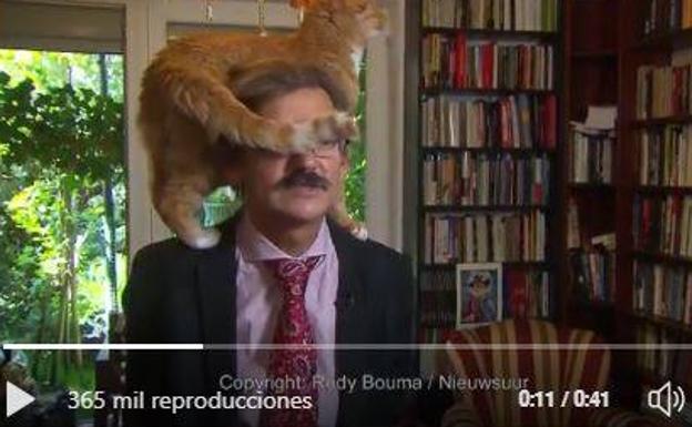 Un gato interrumpe una entrevista y su dueño ni se inmuta