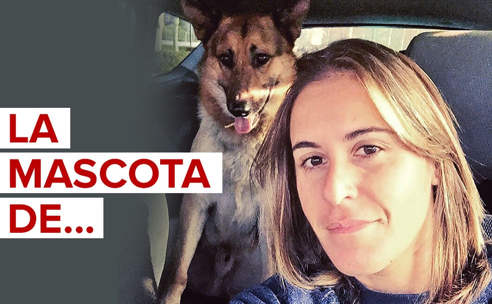 «Es un buen compañero en momentos de soledad»