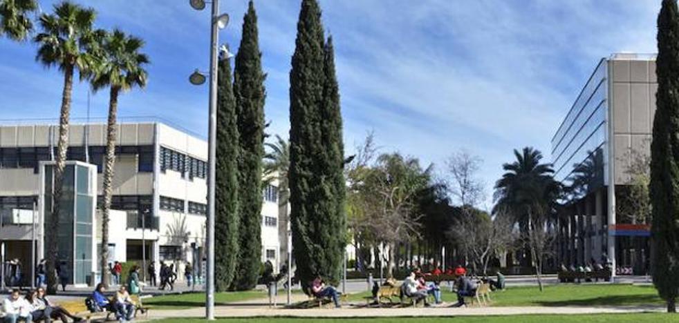 Alumnos admitidos en la Universidad Politécnica de Valencia para el curso 2018/2019