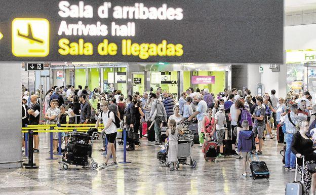 Los perros de la Policía localizan 118 pastillas de anfetaminas en el aeropuerto de Alicante