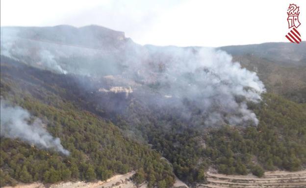 El incendio de Relleu calcina unas 20 hectáreas de terreno abancalado