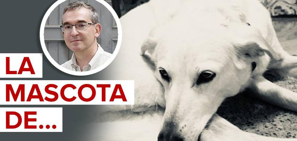«En general los animales son bastante mejores que muchas personas»