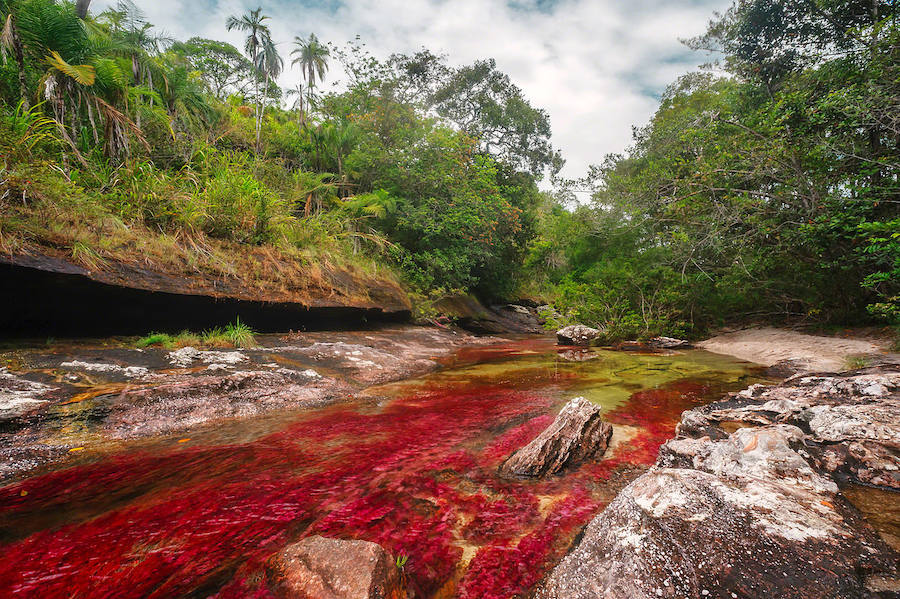 Caño Cristales, el río de colores más bonito del mundo