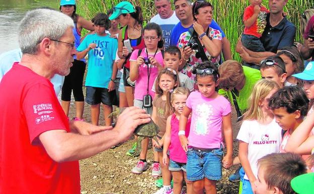 Reintroducen cien ejemplares de la fauna silvestre en el Parque de Túria