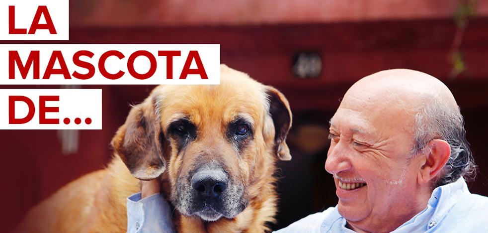 Petardo, el guardián de Francis Montesinos que cuida de 11 pavos y 22 gatos