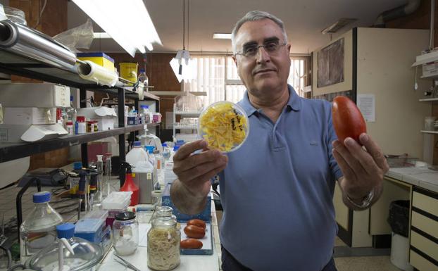 La piel de frutas y verduras, convertida en envases