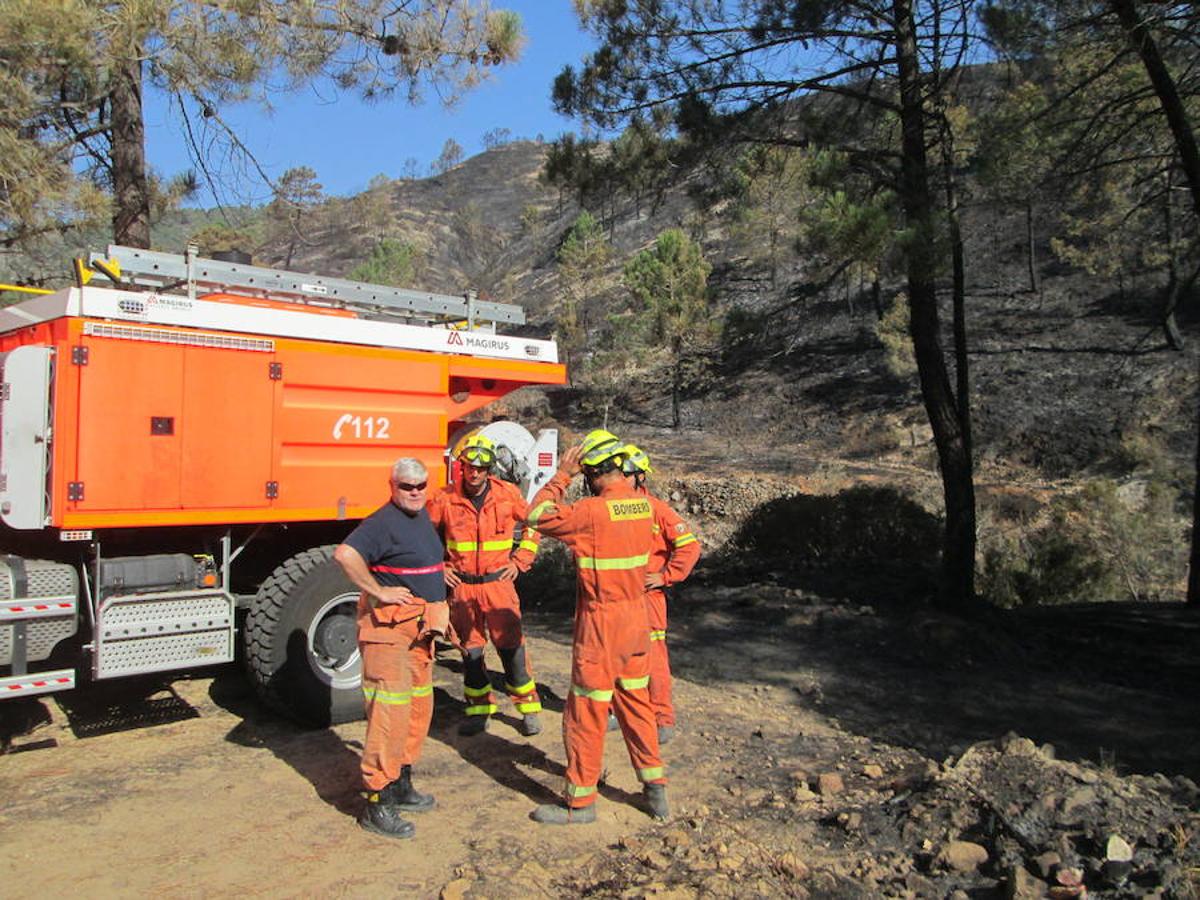 El incendio de Llutxent, en imágenes