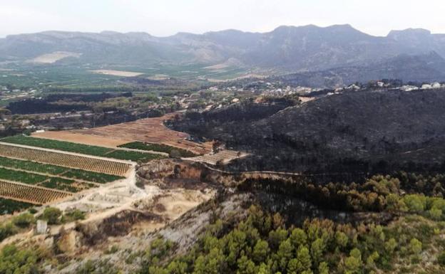 Llutxent pide al Gobierno ayudas de emergencia para la zona arrasada por el incendio