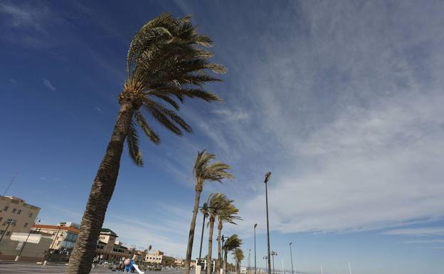 Los bomberos realizan 35 intervenciones por las fuertes rachas de viento en Valencia