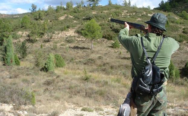 Desde hoy se pueden cazar palomas, urracas y estorninos en la Comunitat Valenciana