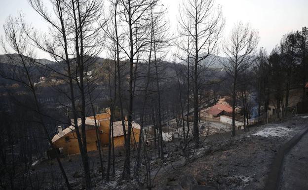 Riesgo elevado de incendio forestal en el centro y sur de la Comunitat