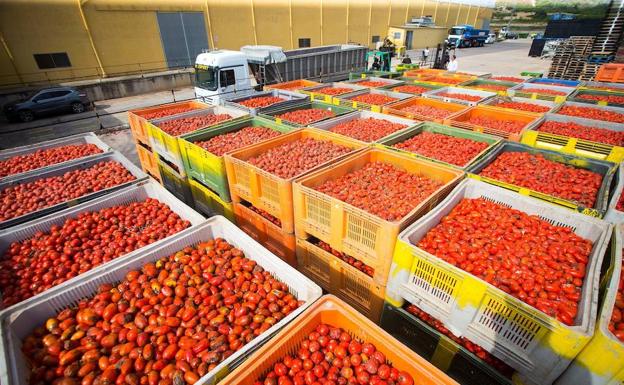 Todo listo para la Tomatina 2018