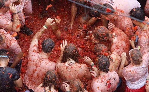 ¿Qué tipo de tomate se usa en la Tomatina de Buñol?