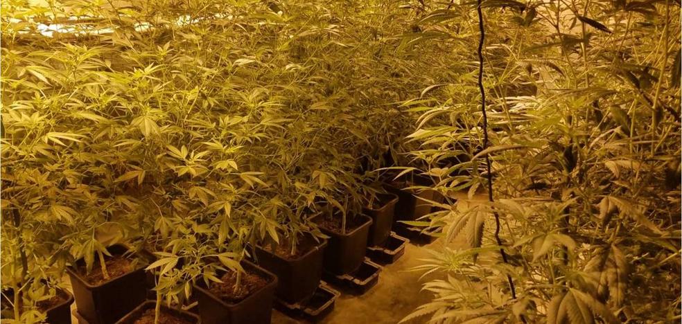 Los narcos que usaban 7 parcelas de un camping
