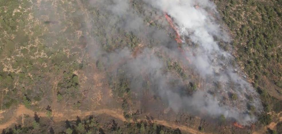 Estabilizado el incendio forestal de Requena