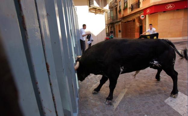 Una joven de 16 años sufre una cornada en las fiestas de Vila-real