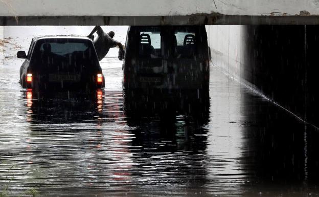 La tromba de agua derriba árboles, anega túneles y colapsa el tráfico