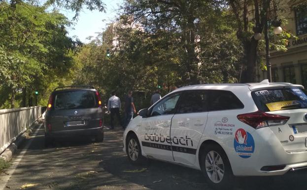 Cae la rama de un árbol sobre la calzada frente a la Casa Caridad de Valencia