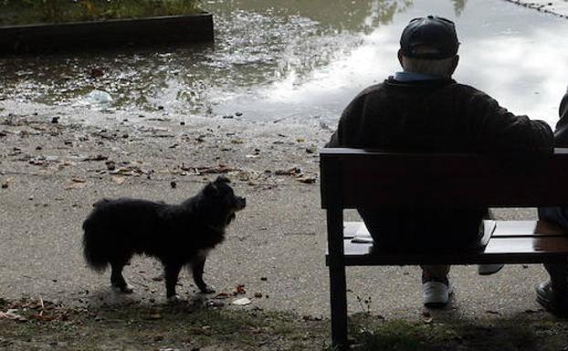 Una pareja de 74 y 72 años pasa dos noches durmiendo en un parque tras ser desahuciados