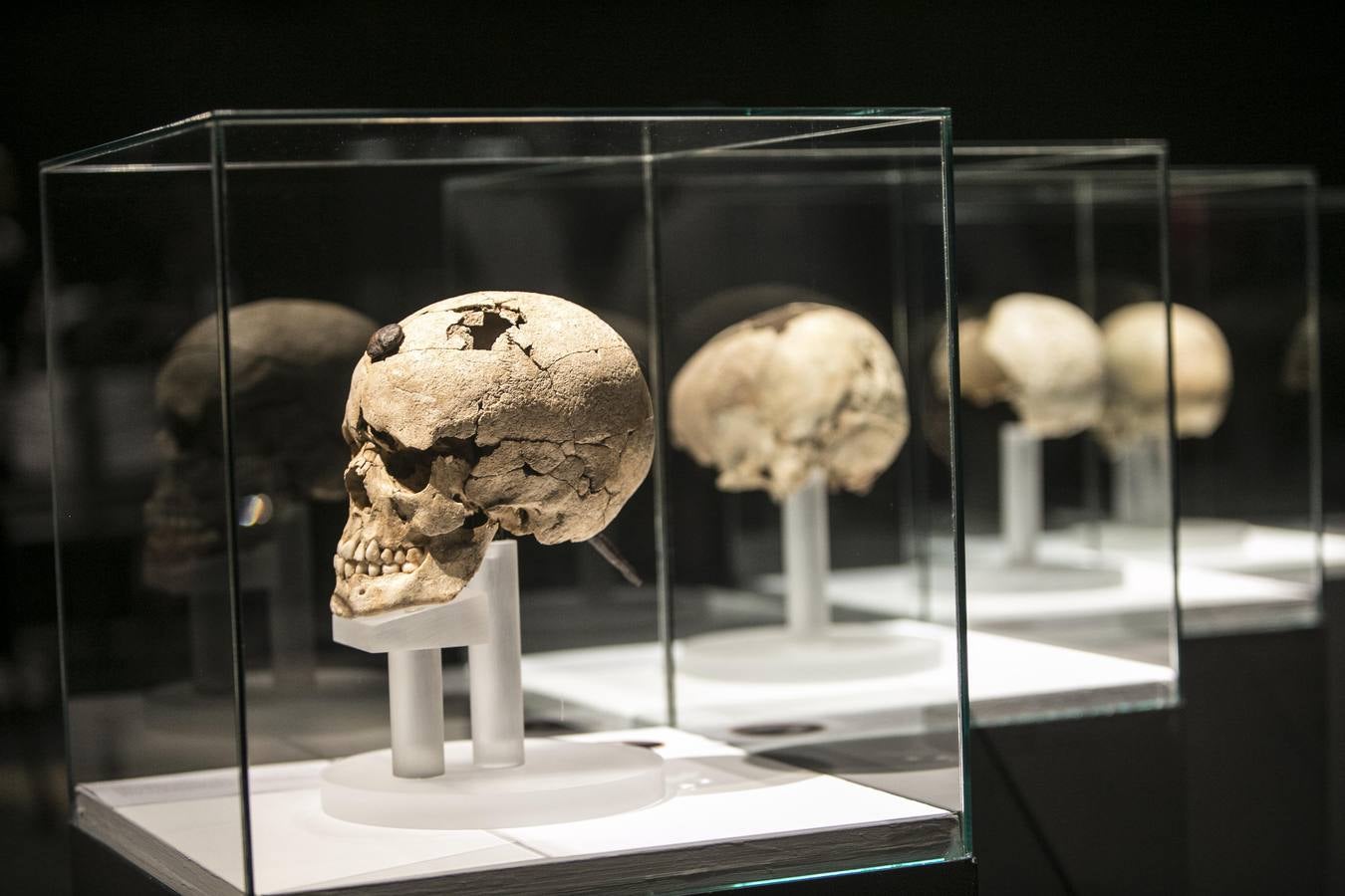 Exposición en Valencia de 'Cabezas cortadas. Símbolos de poder'